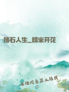 赌石人生