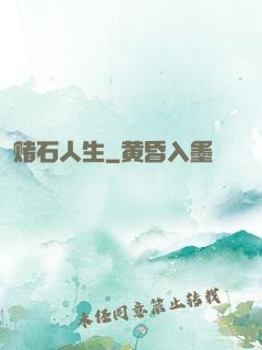 赌石人生