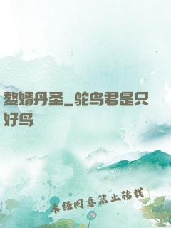 赘婿丹圣