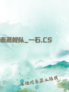 赤鸢舰队
