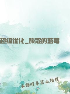 超级优化