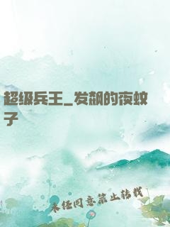 超级兵王