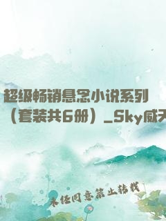 超级畅销悬念小说系列（套装共6册）