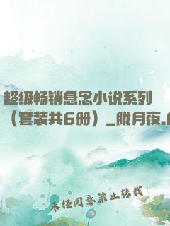 超级畅销悬念小说系列（套装共6册）