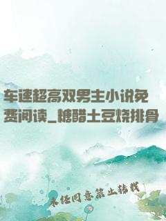 车速超高双男主小说免费阅读