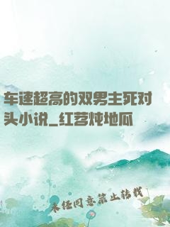 车速超高的双男主死对头小说