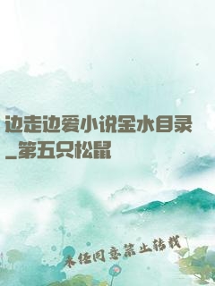 边走边爱小说金水目录