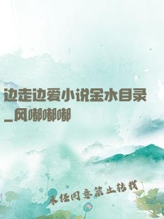 边走边爱小说金水目录