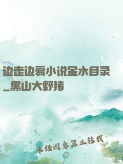 边走边爱小说金水目录