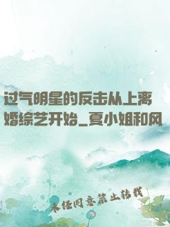 过气明星的反击从上离婚综艺开始