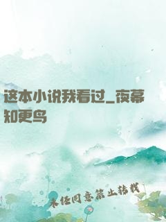 这本小说我看过