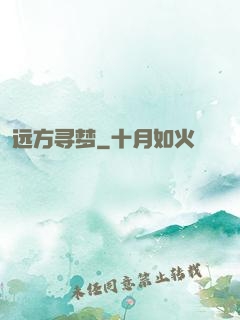 远方寻梦