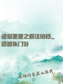 迷案重重之最佳拍档