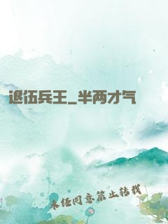 退伍兵王