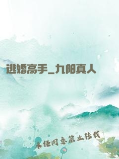 逃婚高手