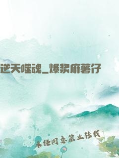 逆天噬魂