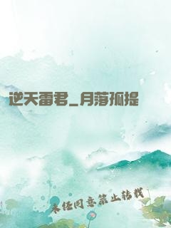 逆天雷君