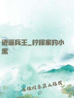 逍遥兵王