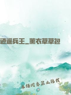 逍遥兵王