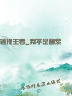 透视王者