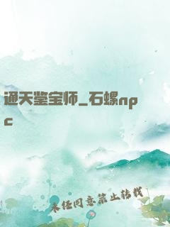 通天鉴宝师