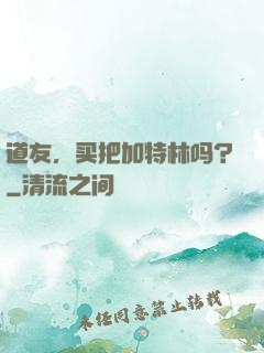 道友，买把加特林吗？
