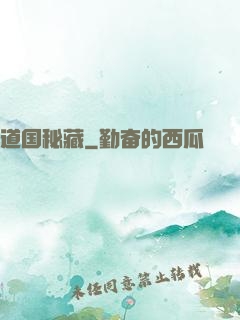 道国秘藏