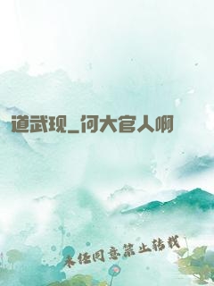 道武现