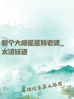 那个大明星是我老婆