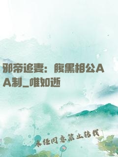 邪帝追妻：腹黑相公AA制