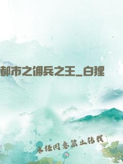 都市之佣兵之王