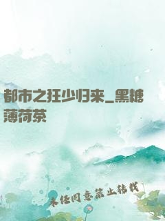 都市之狂少归来