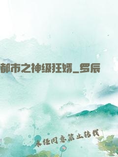 都市之神级狂婿
