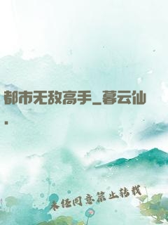 都市无敌高手