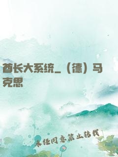 酋长大系统