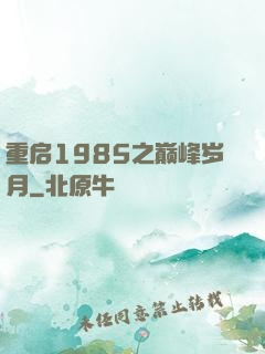 重启1985之巅峰岁月