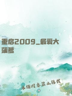 重启2009