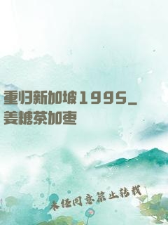 重归新加坡1995