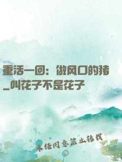 重活一回：做风口的猪