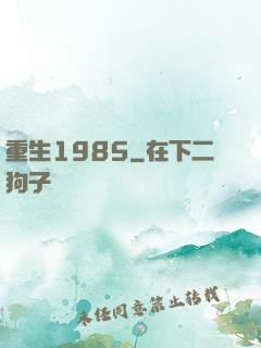 重生1985