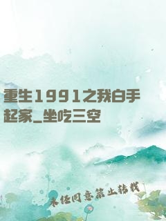 重生1991之我白手起家