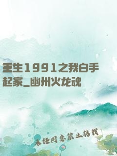 重生1991之我白手起家