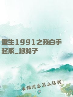重生1991之我白手起家