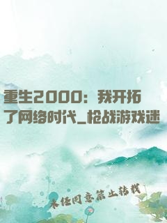 重生2000：我开拓了网络时代