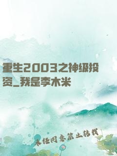重生2003之神级投资