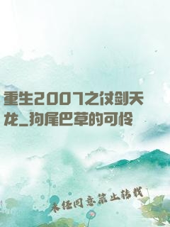 重生2007之仗剑天龙