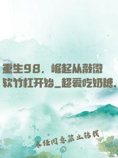 重生98，崛起从敲微软竹杠开始