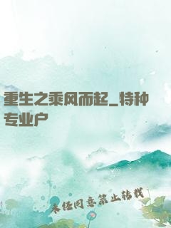 重生之乘风而起