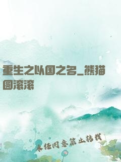 重生之以国之名