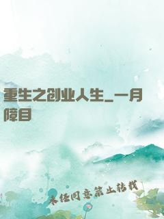 重生之创业人生